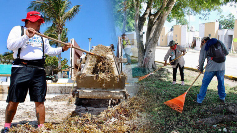Puerto Morelos Duplicó Acciones De Atención A Espacios Públicos En 2022