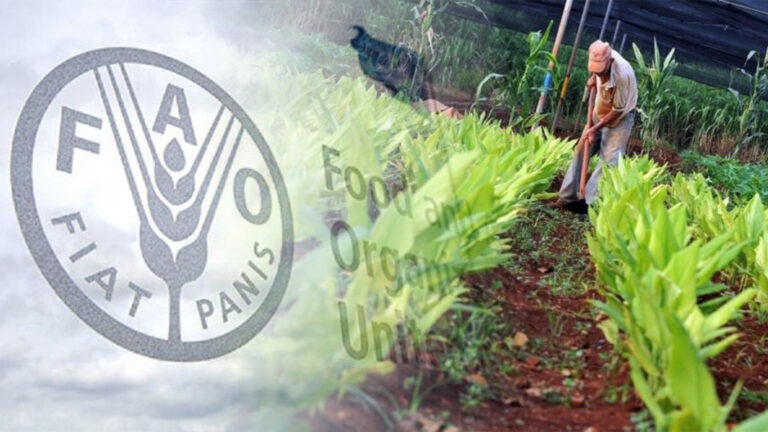 FAO, Aliado Necesario Para Combatir Pobreza Alimentaria