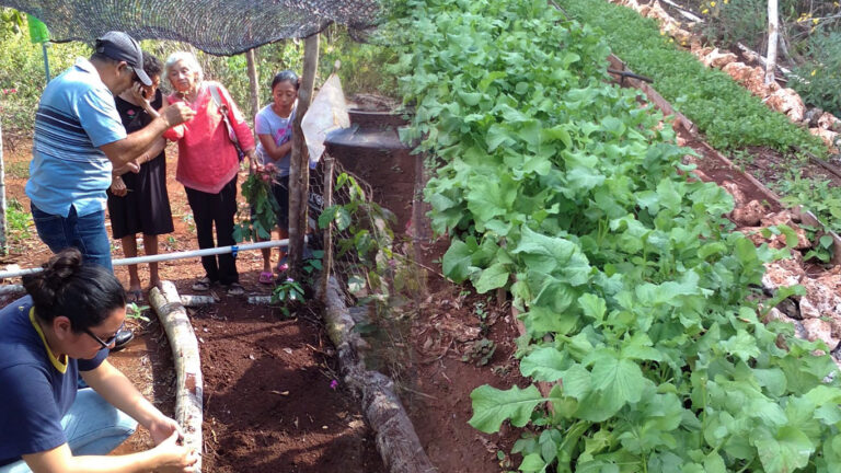 Puerto Morelos Impulsa A Las Mujeres Del Campo Mediante Capacitaciones