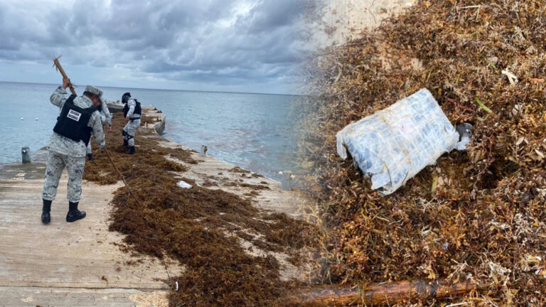 Guardia Nacional Encuentra En Tulum Droga Recalada Entre El Sargazo