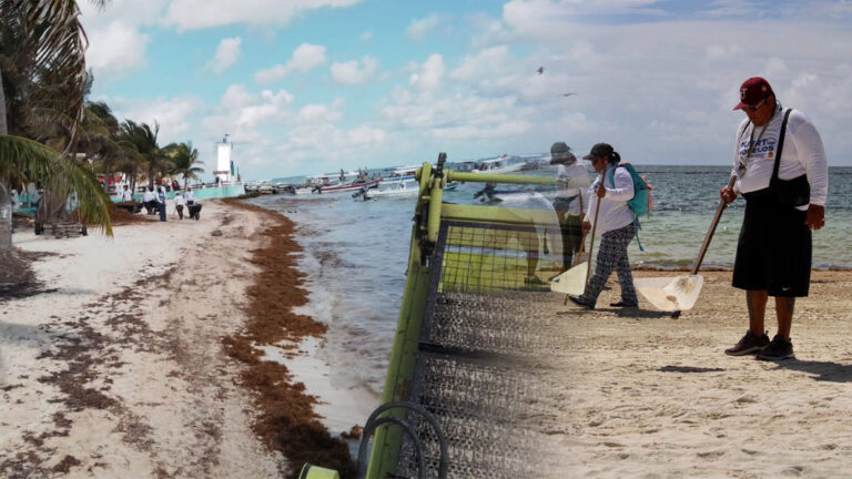 Planifican Acciones Para Combatir La Llegada De Sargazo A Puerto Morelos