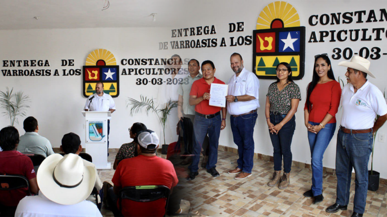 Entregan Constancias De Baja Infestación De Varroa A Apicultores De Leona Vicario