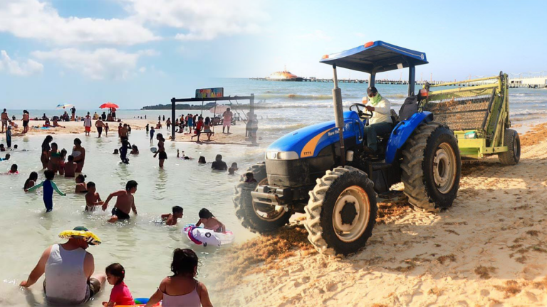 En Solidaridad Turistas Y Locales Ayudan En La Limpieza De Las Playas