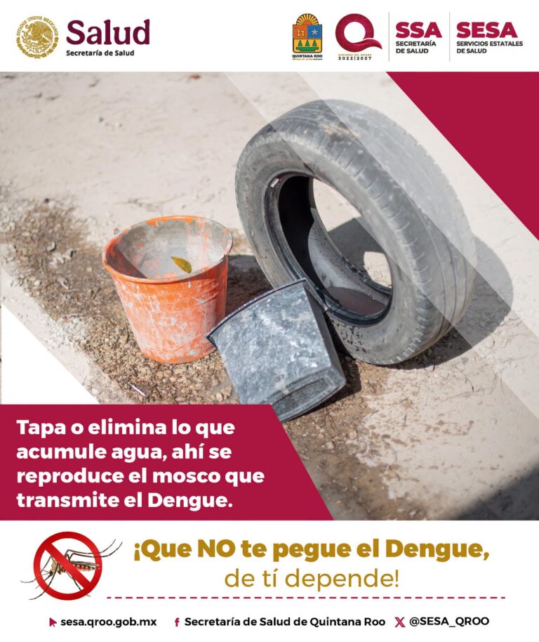 SESA Quintana Roo llama a eliminar criaderos para prevenir el dengue