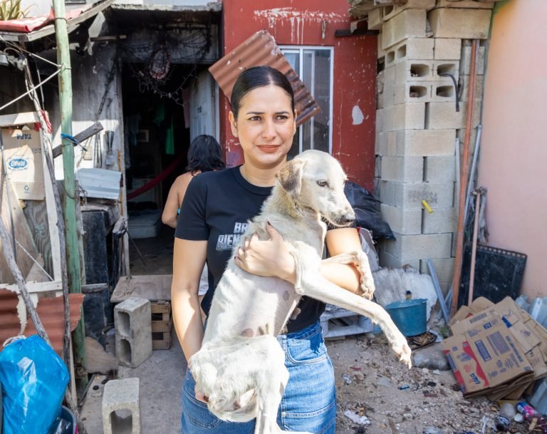 Estefanía Mercado actúa con firmeza contra el maltrato animal; rescata seis seres sintientes en Puerto Aventuras