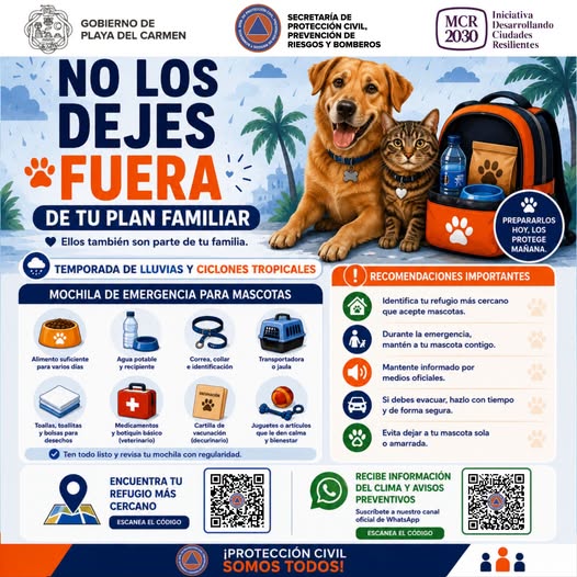Anuncio 2