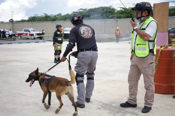 Con participación histórica de más de 172 mil personas, Quintana Roo consolida la cultura de prevención en el Segundo Simulacro Nacional 2026