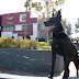 Hidalgo. CONSOLIDA MINERAL DE LA REFORMA A SU UNIDAD K9 COMO REFERENTE DE PROFESIONALIZACIÓN Y SEGURIDAD